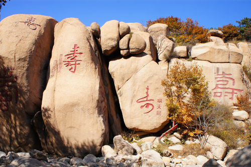 寿字碑林寿字碑林是长寿山景区钟最引人入胜的景观之.